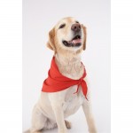 Insect Shield Bandana repellent apparel - front view on Dog